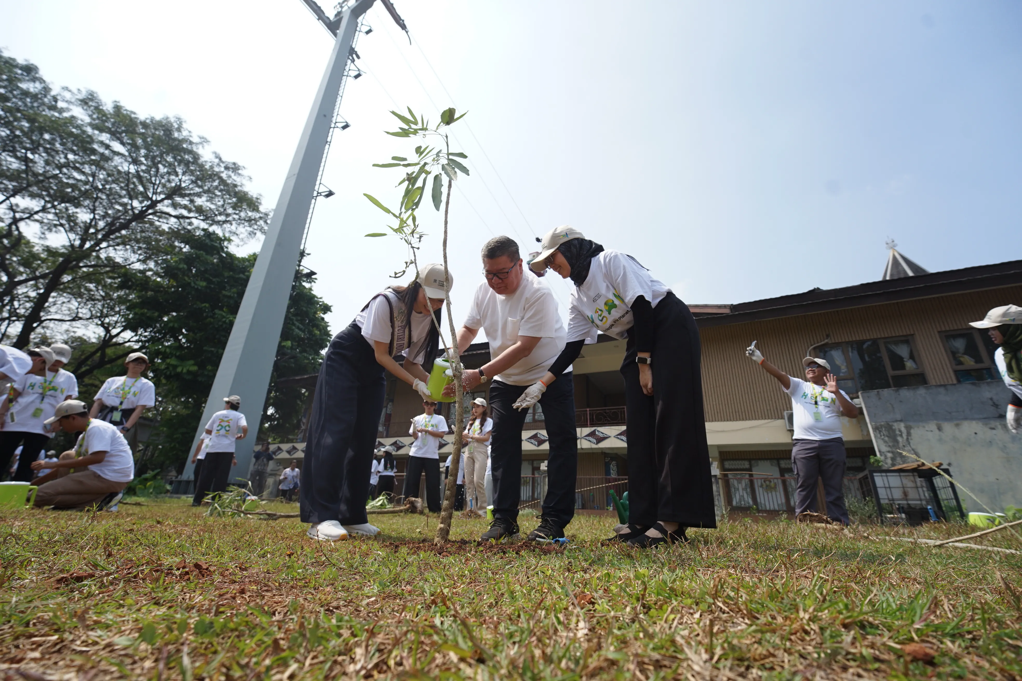 Hand watering green plant seedling - environmental sustainability